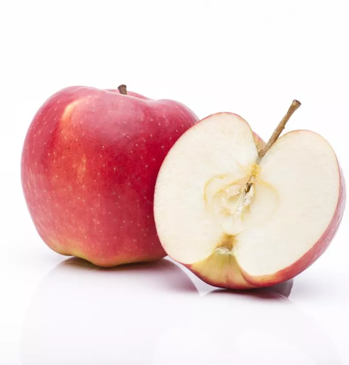 18+ Apple Care Jesup