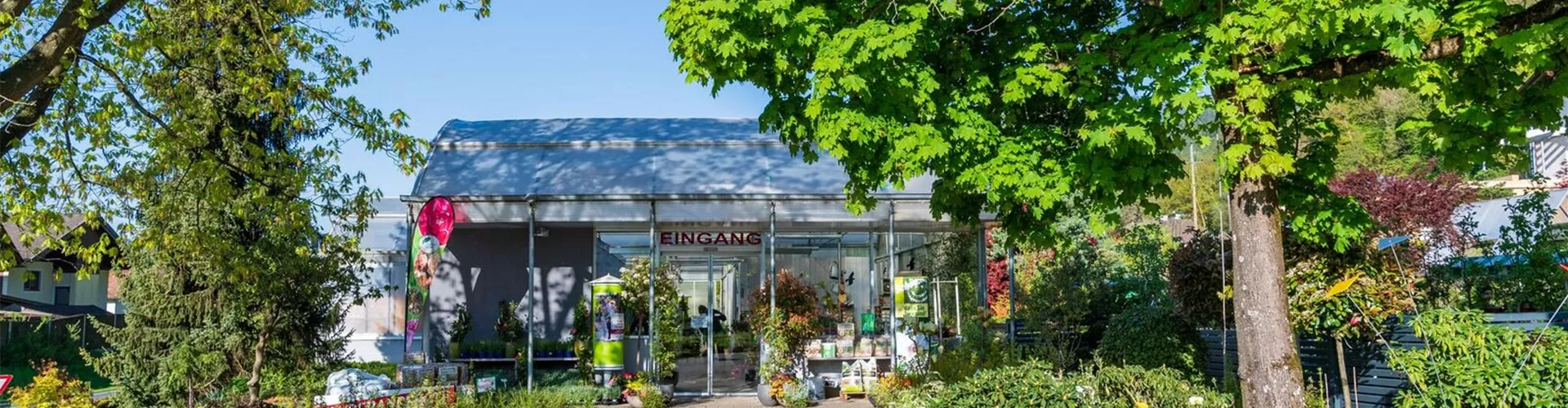 cFhUXLnD.jpeg cFhUXLnD.jpeg