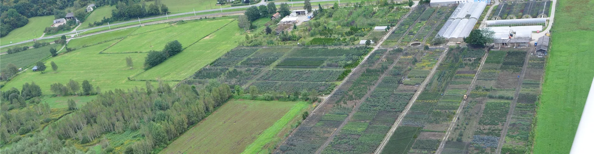 BS FlugbildDSC_1553.JPG