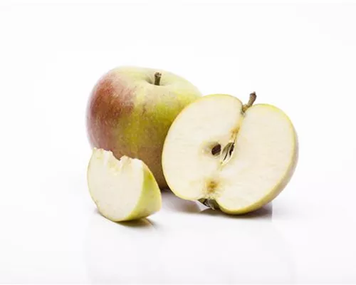 Malus 'Cox Orange Renette' CAC Malus 'Cox Orange Renette' CAC