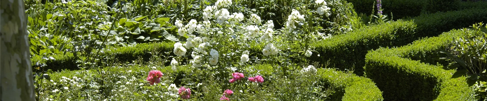 GS620474.jpg GS620474.jpg