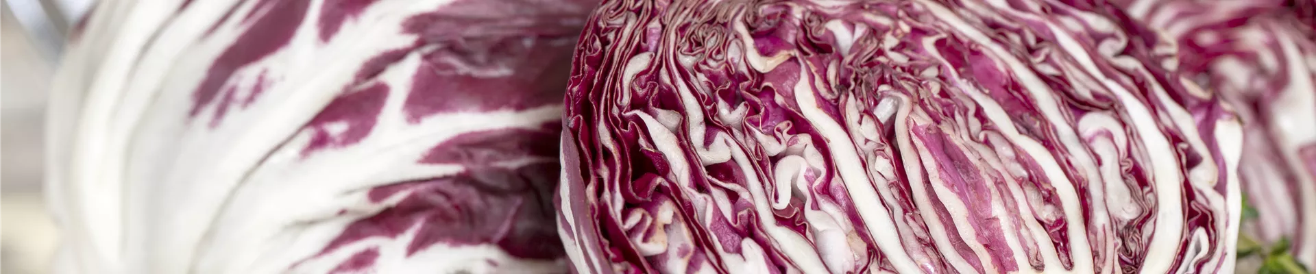 GS457358.jpg GS457358.jpg