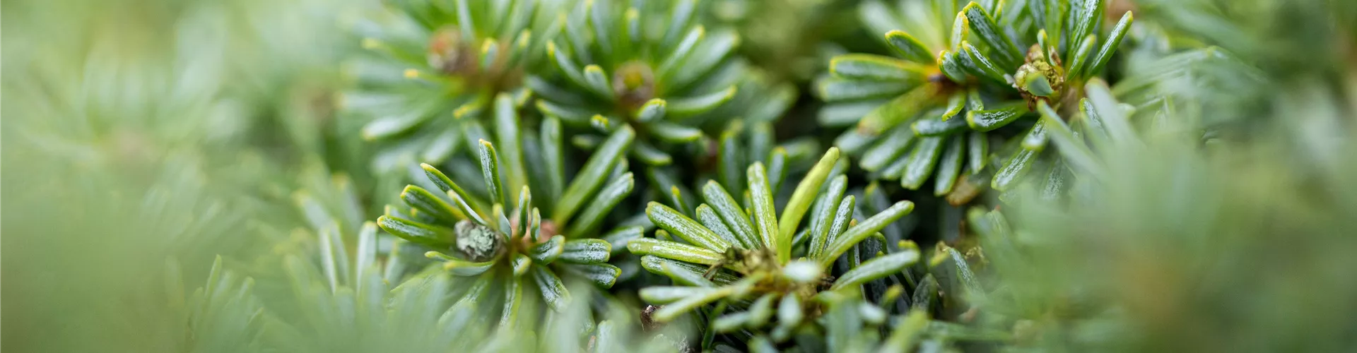 GS647095.jpg GS647095.jpg