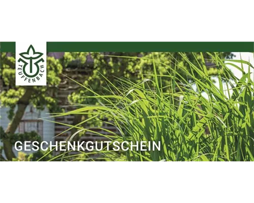 Online Gutschein Online Gutschein