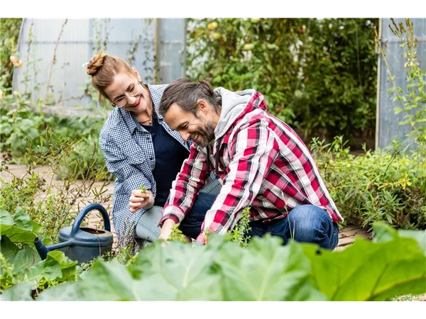Wir brauchen DICH als Gartenfacharbeiter(in)