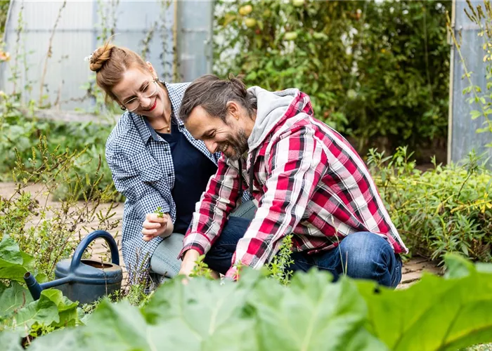 Wir brauchen DICH als Gartenfacharbeiter(in) Wir brauchen DICH als Gartenfacharbeiter(in)