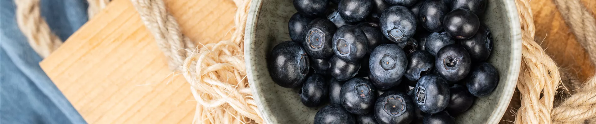 GS650296.jpg GS650296.jpg