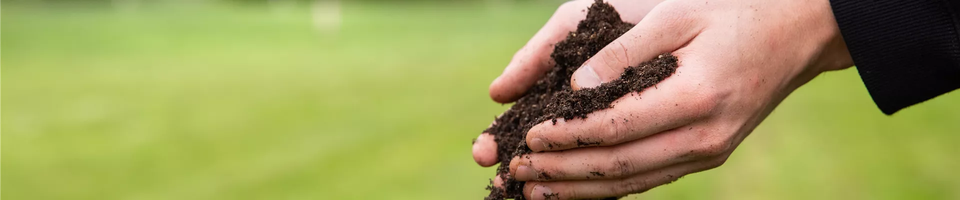 GS661941.jpg GS661941.jpg