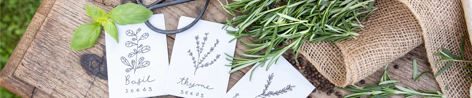 GS670143.jpg GS670143.jpg