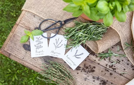 Ein Aussaatkalender sorgt für Übersicht bei der Gartenplanung Ein Aussaatkalender sorgt für Übersicht bei der Gartenplanung