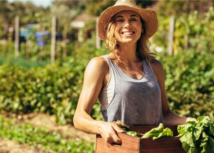 Selbst anbauen: Ein Garten zum Genießen Selbst anbauen: Ein Garten zum Genießen